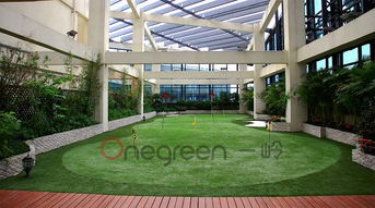 2017年景觀設(shè)計(jì)新趨勢(shì) 人造草果嶺嶄露頭角